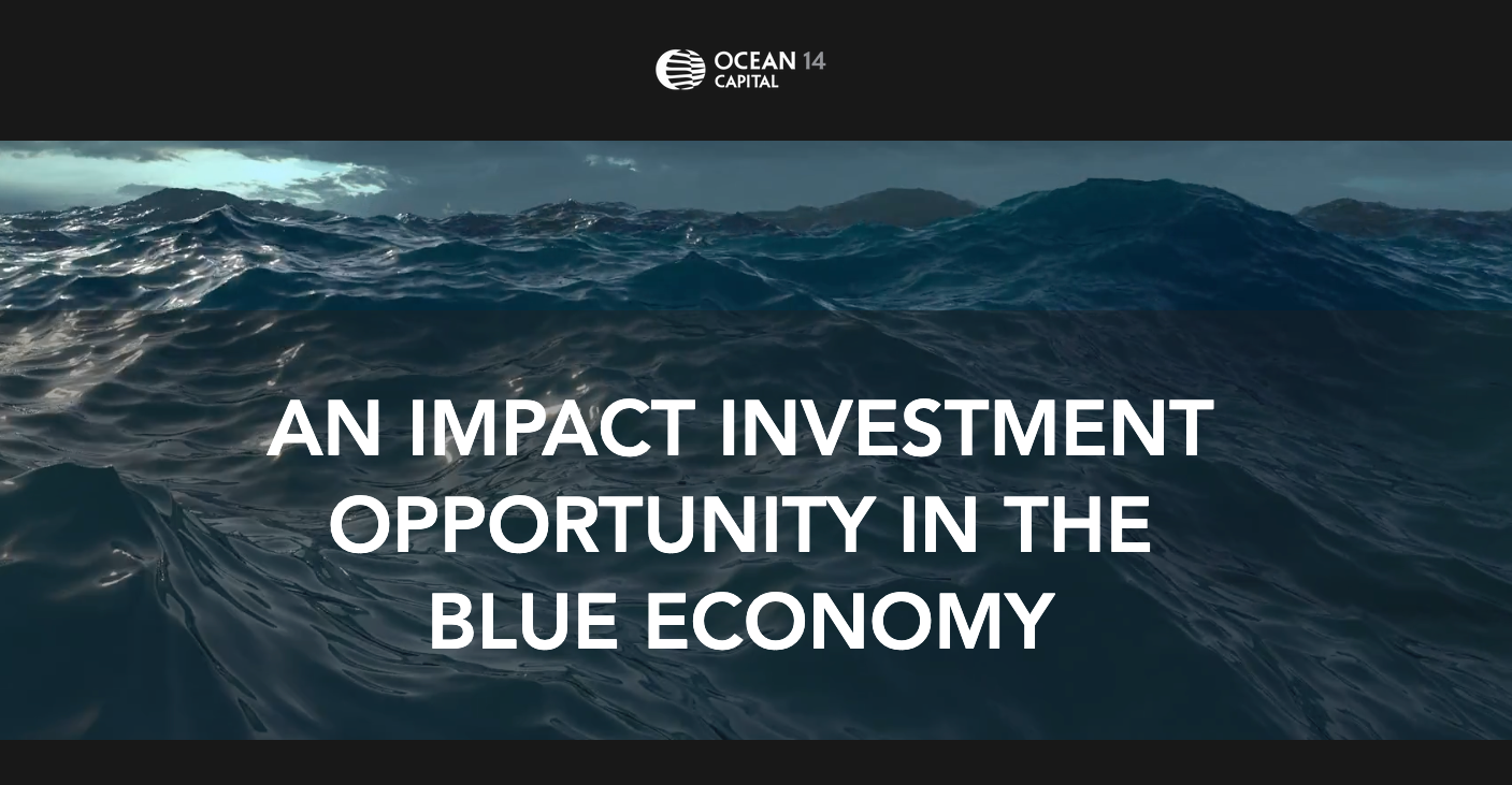 Ocean 14 Capital Ltd., a private equity firm that invests in companies and technologies offering sustainable solutions for our oceans, has entered into an investment agreement with AION. 